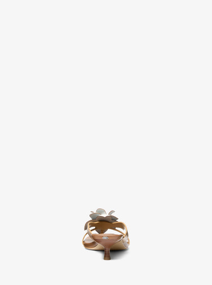 PEANUT