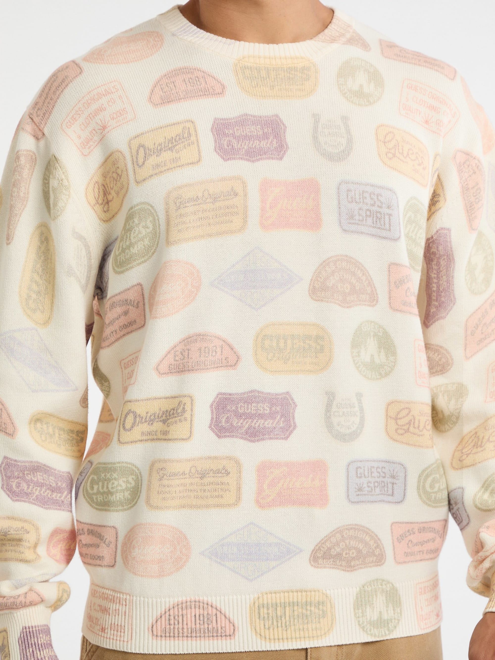 Guess Patch Print