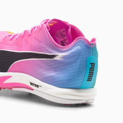 Poison Pink-Sun Stream-Bright Aqua