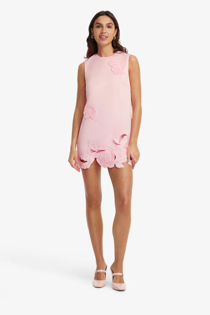 Blush Pink