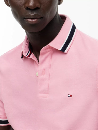 Fresh Pink