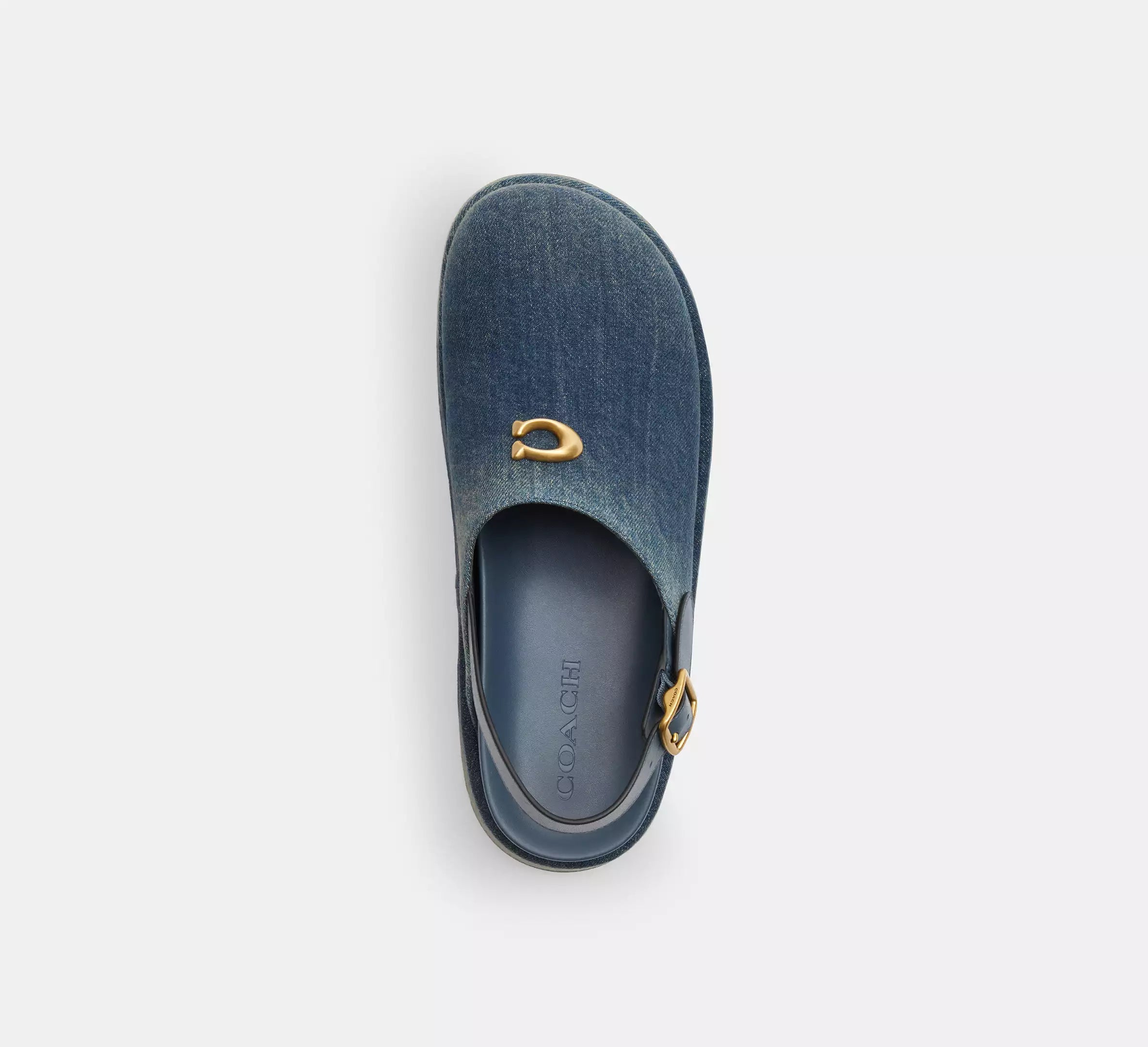 Dark Indigo