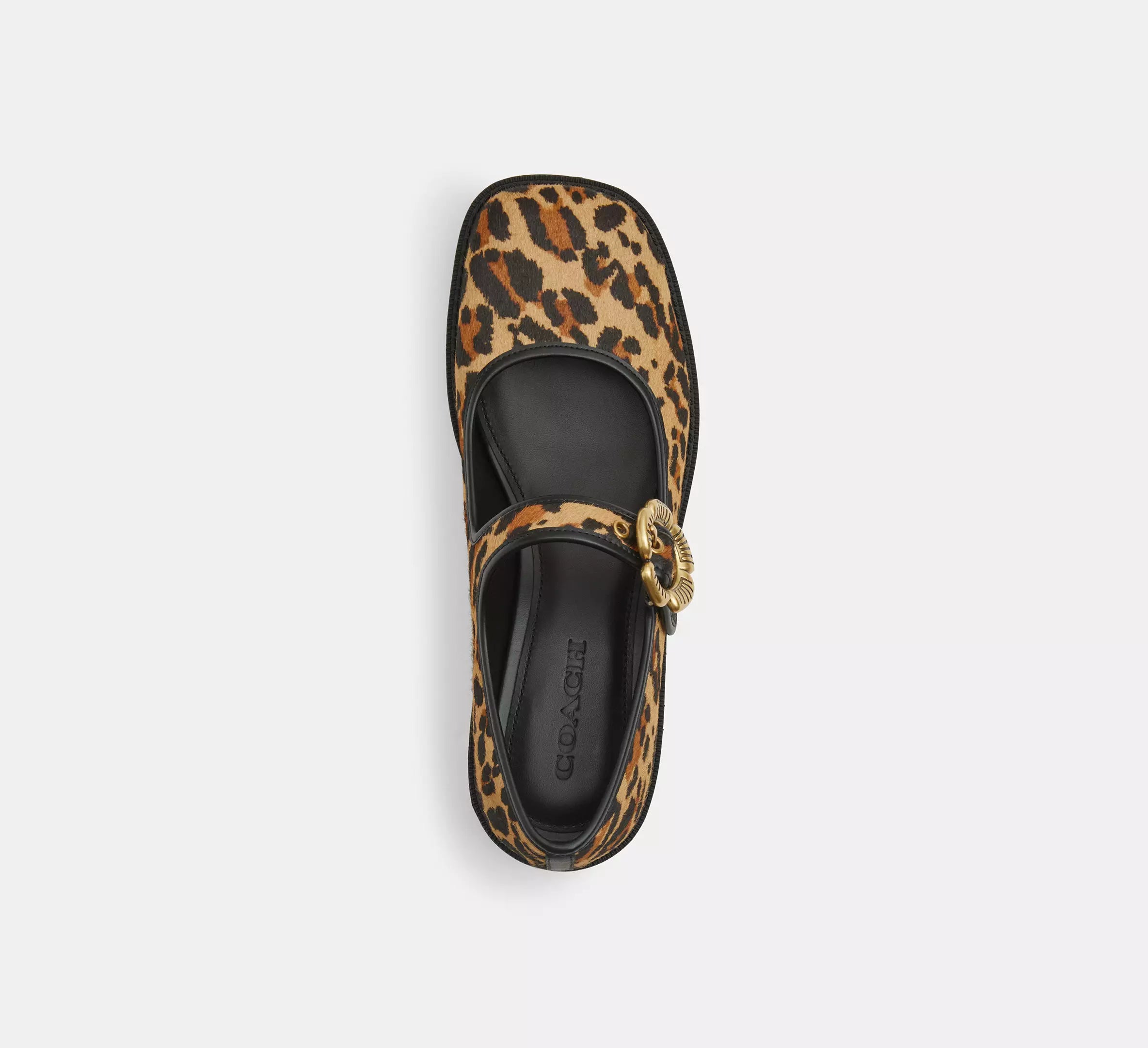 Natural Leopard