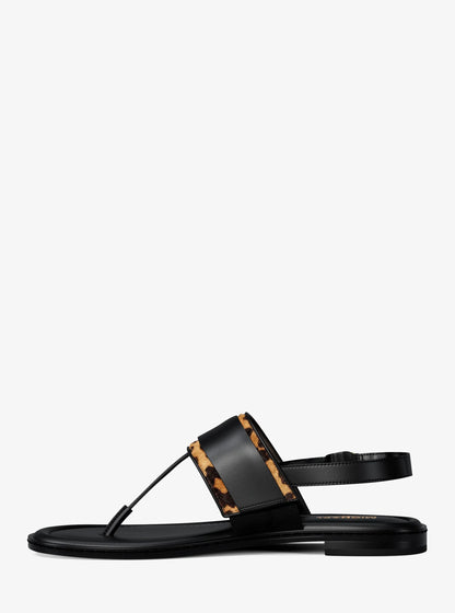DK CAMEL MLT