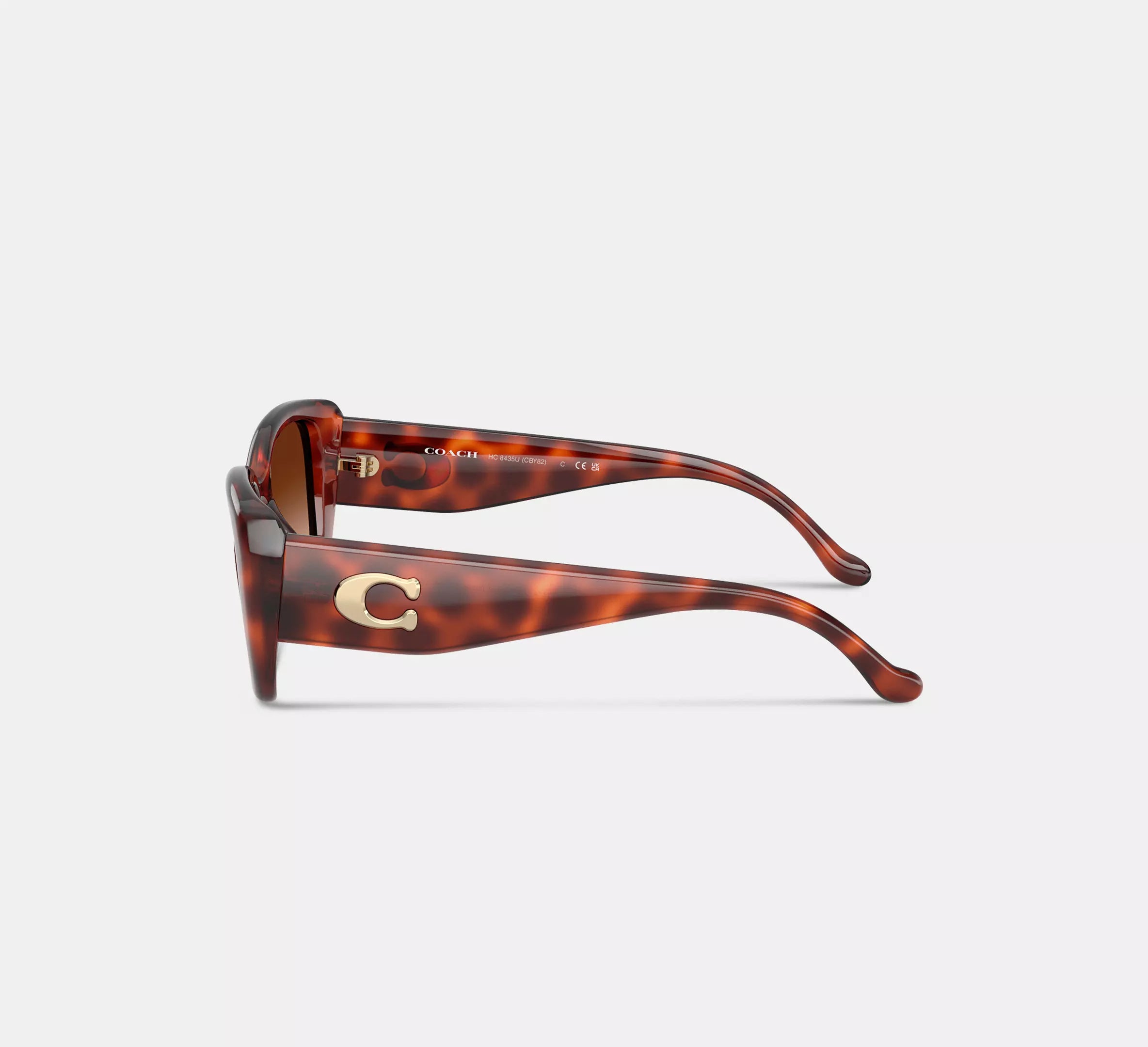 Caramel Tortoise