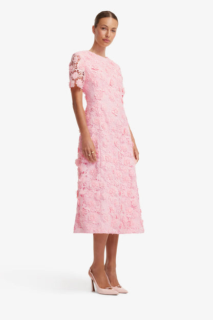 Blush Pink