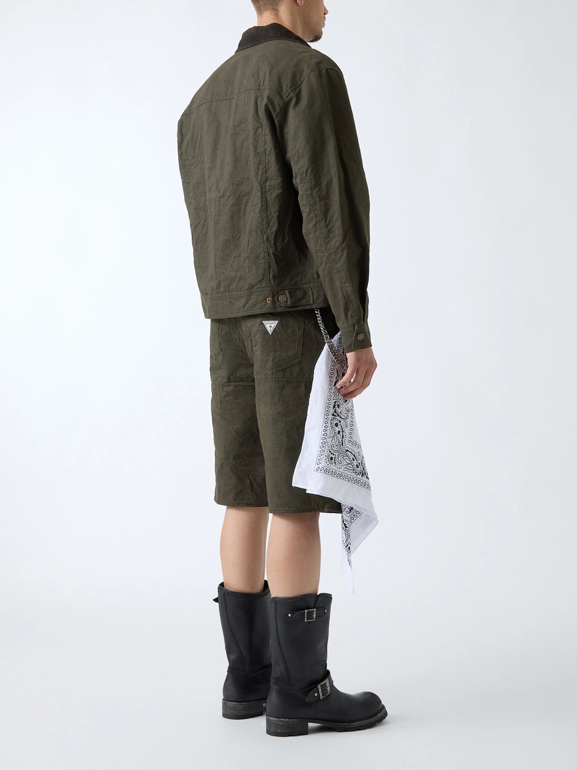 Olive Morning