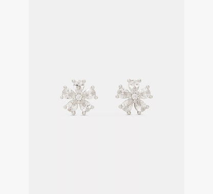 Clear/Silver