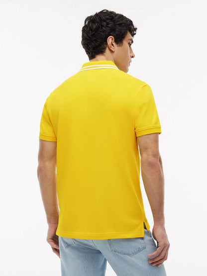 Vivid Yellow