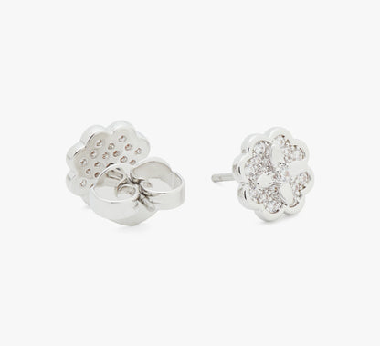 Clear/Silver