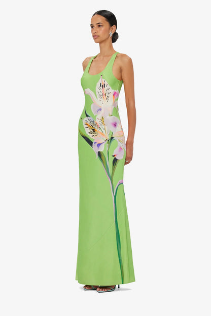 Lily Print in Parakeet