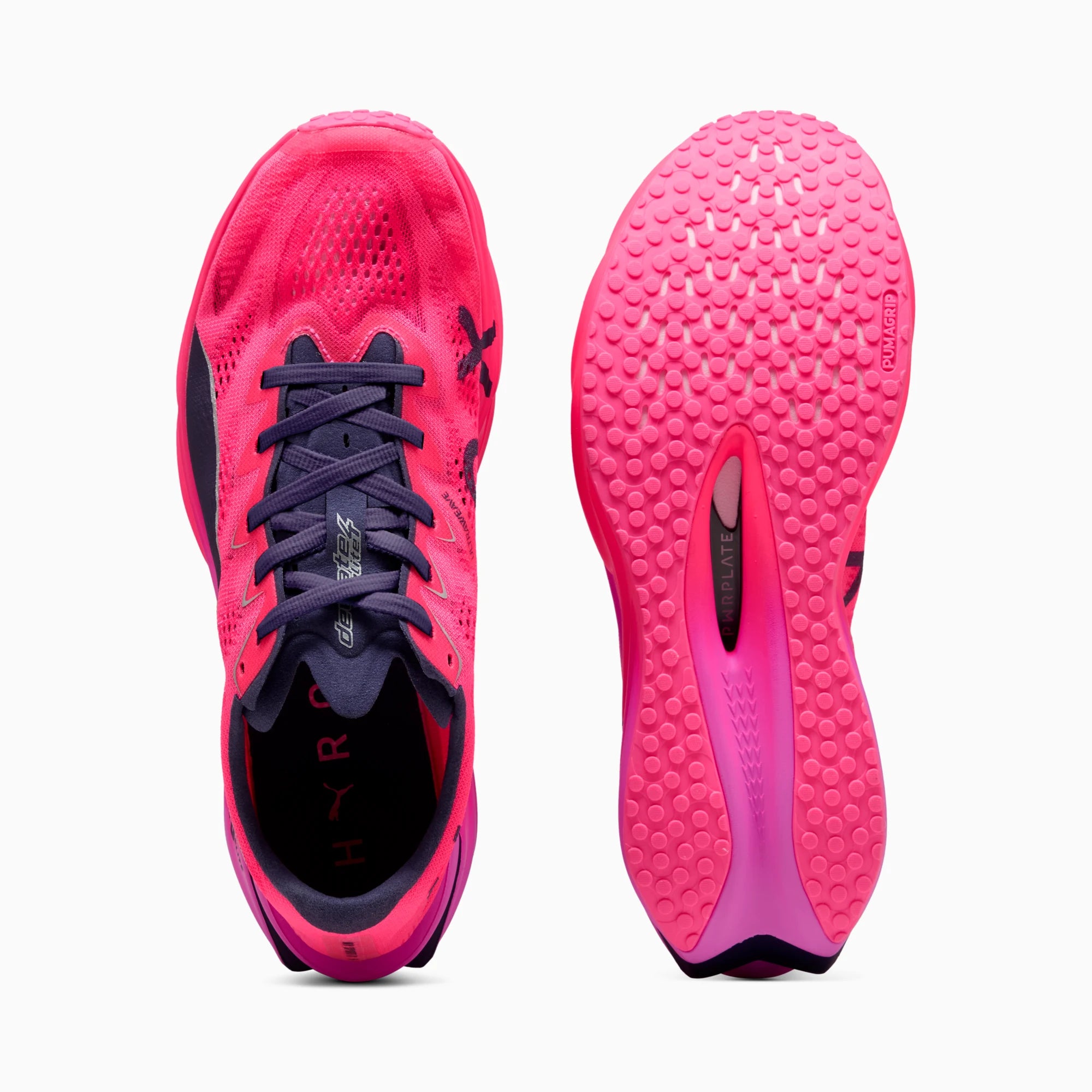 Pure Pink-Electric Orchid-Deep Plum