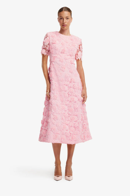 Blush Pink