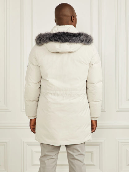 Snow Wolf Grey