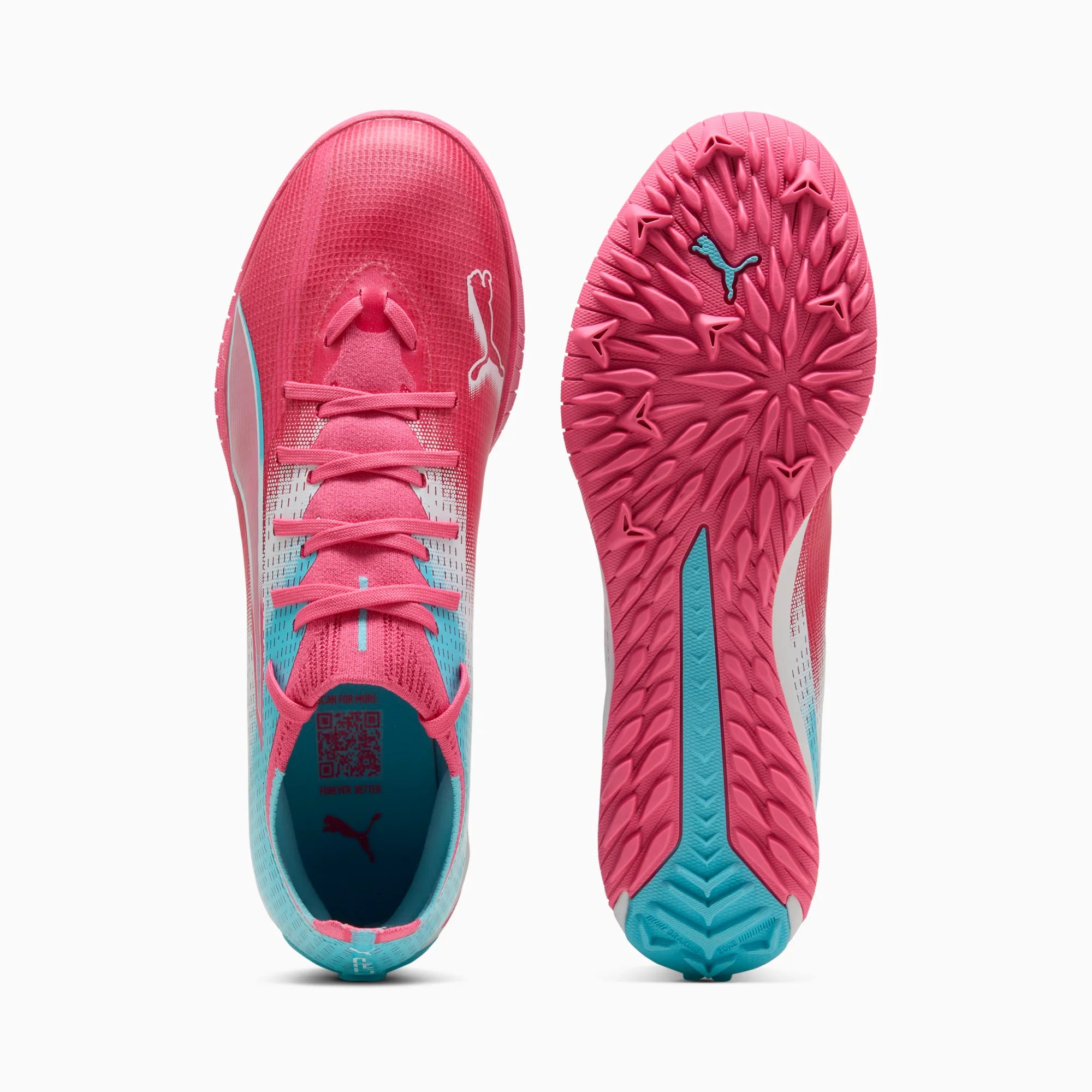 Hero Blue-Sunset Pink-Garnet Rose