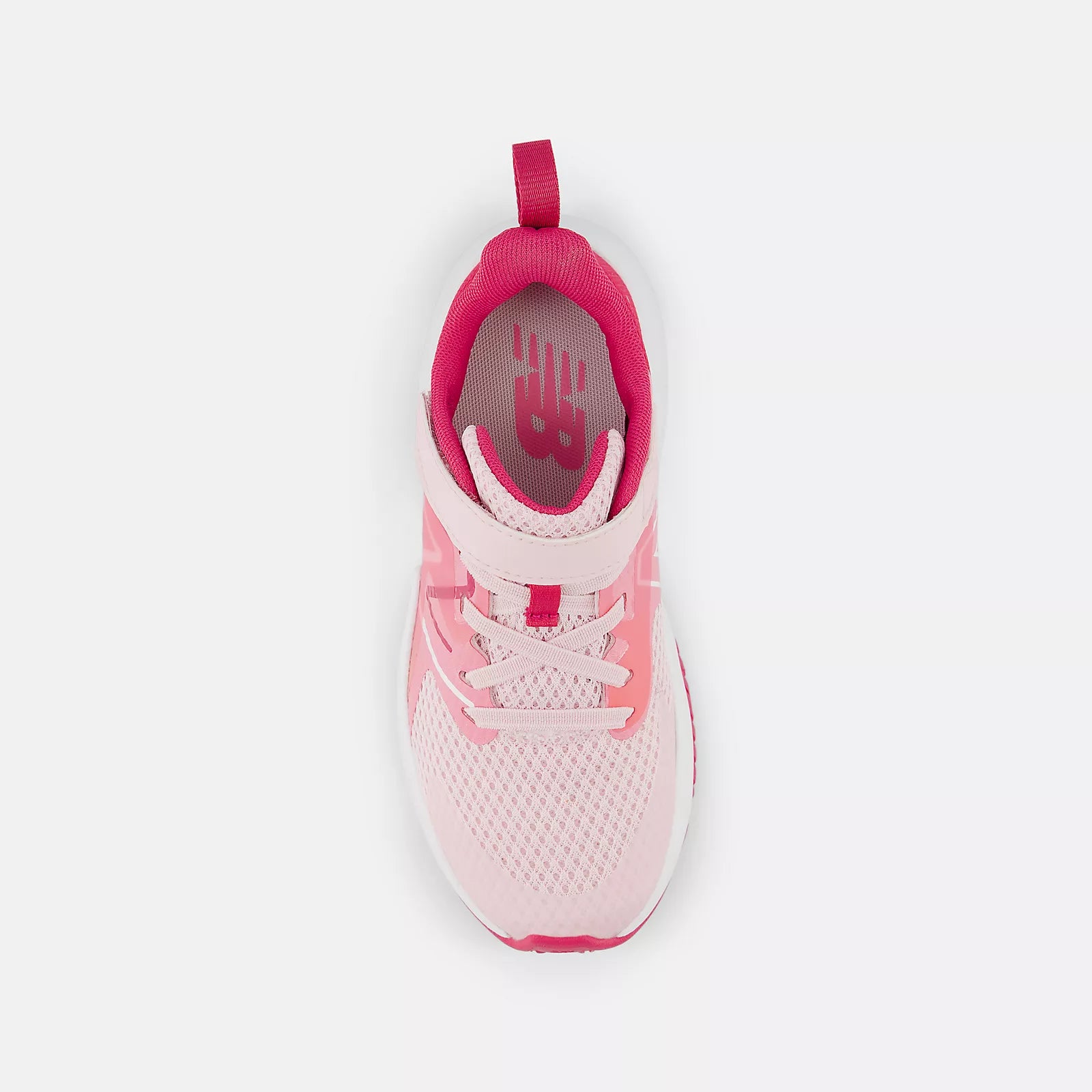 Rose Sugar With Carnival Pink And Signal Pink