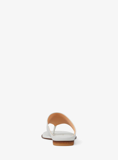 EGGSHELL