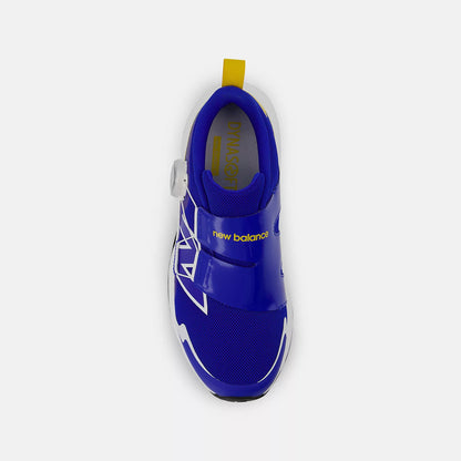 Blue Gemstone With Ginger Lemon And White
