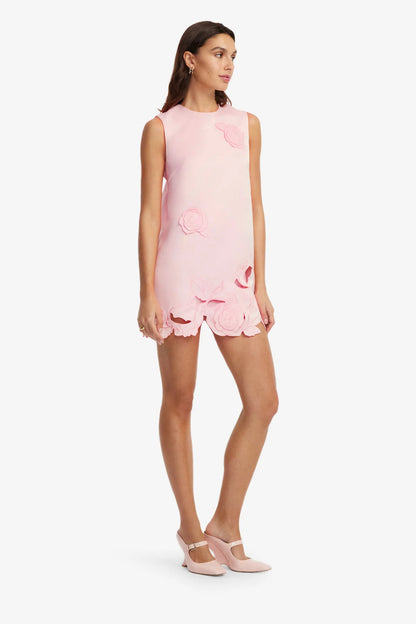 Blush Pink