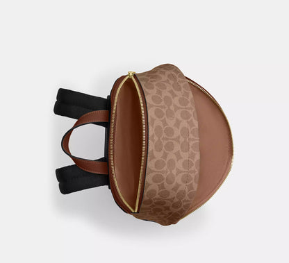 Gold/Tan/Brown