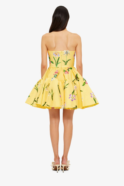 Wild Flower in Sorbet