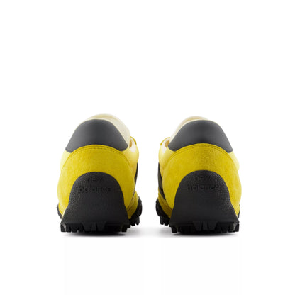 Apollo Gold With Black