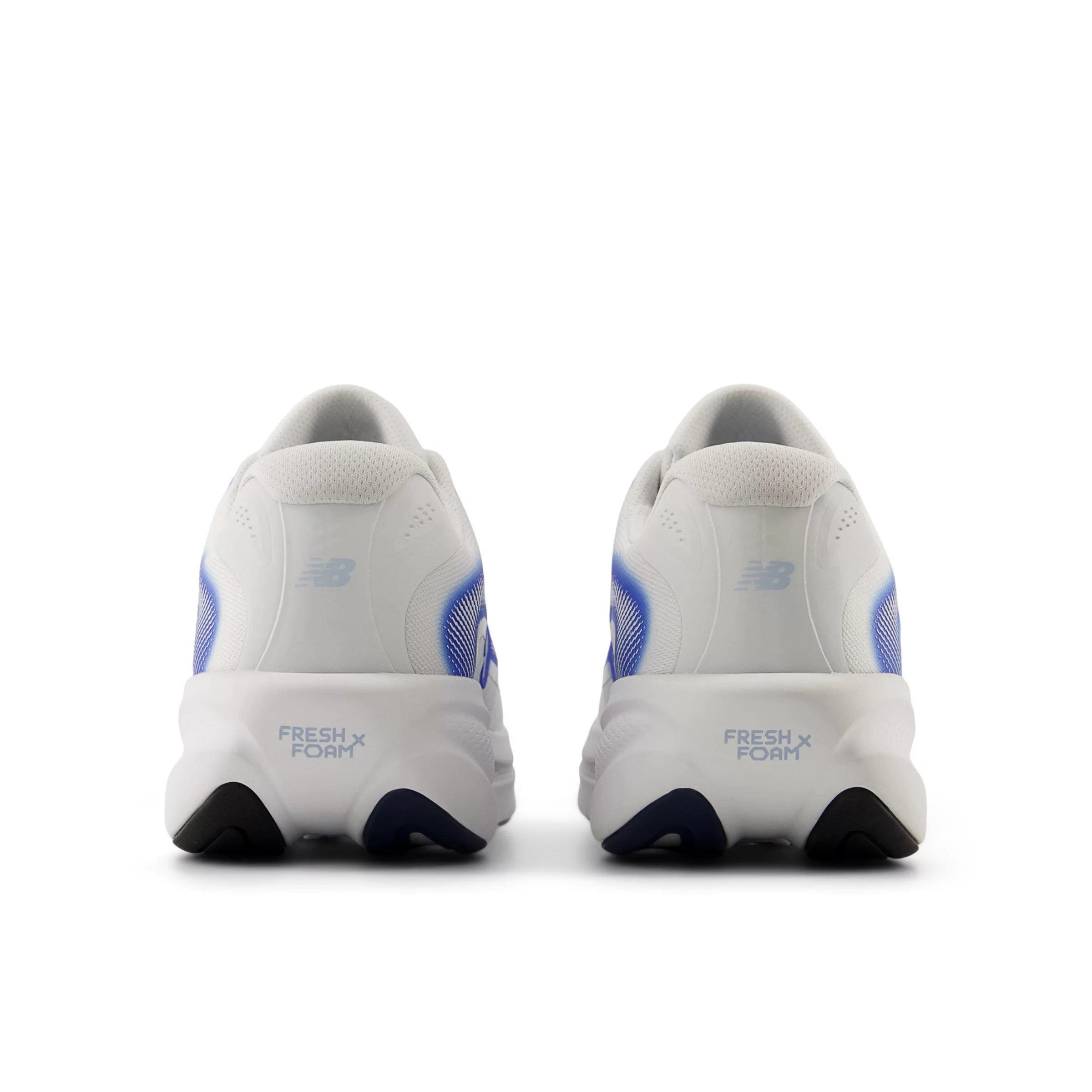 White With Blue Bird