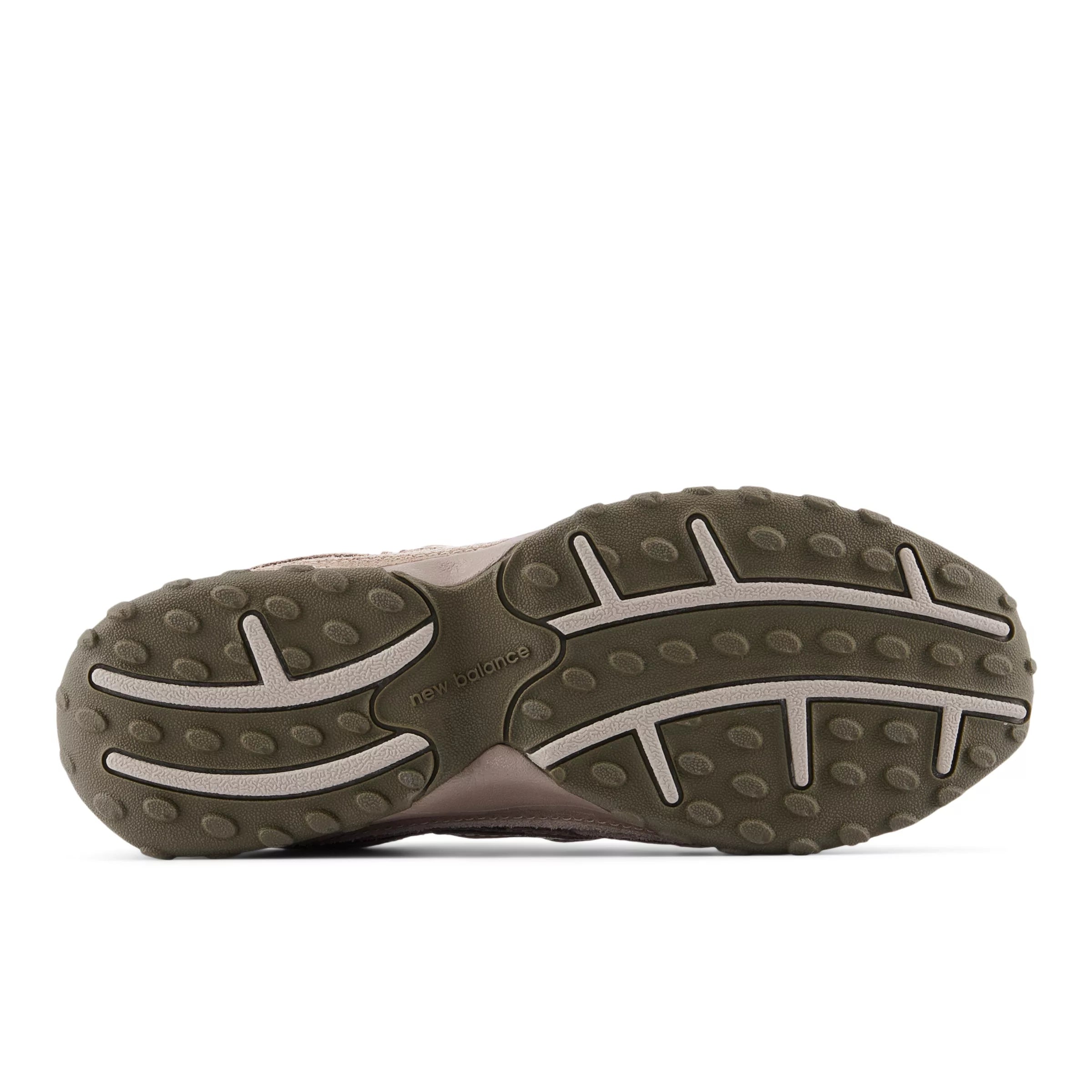 Mushroom With Arid Stone