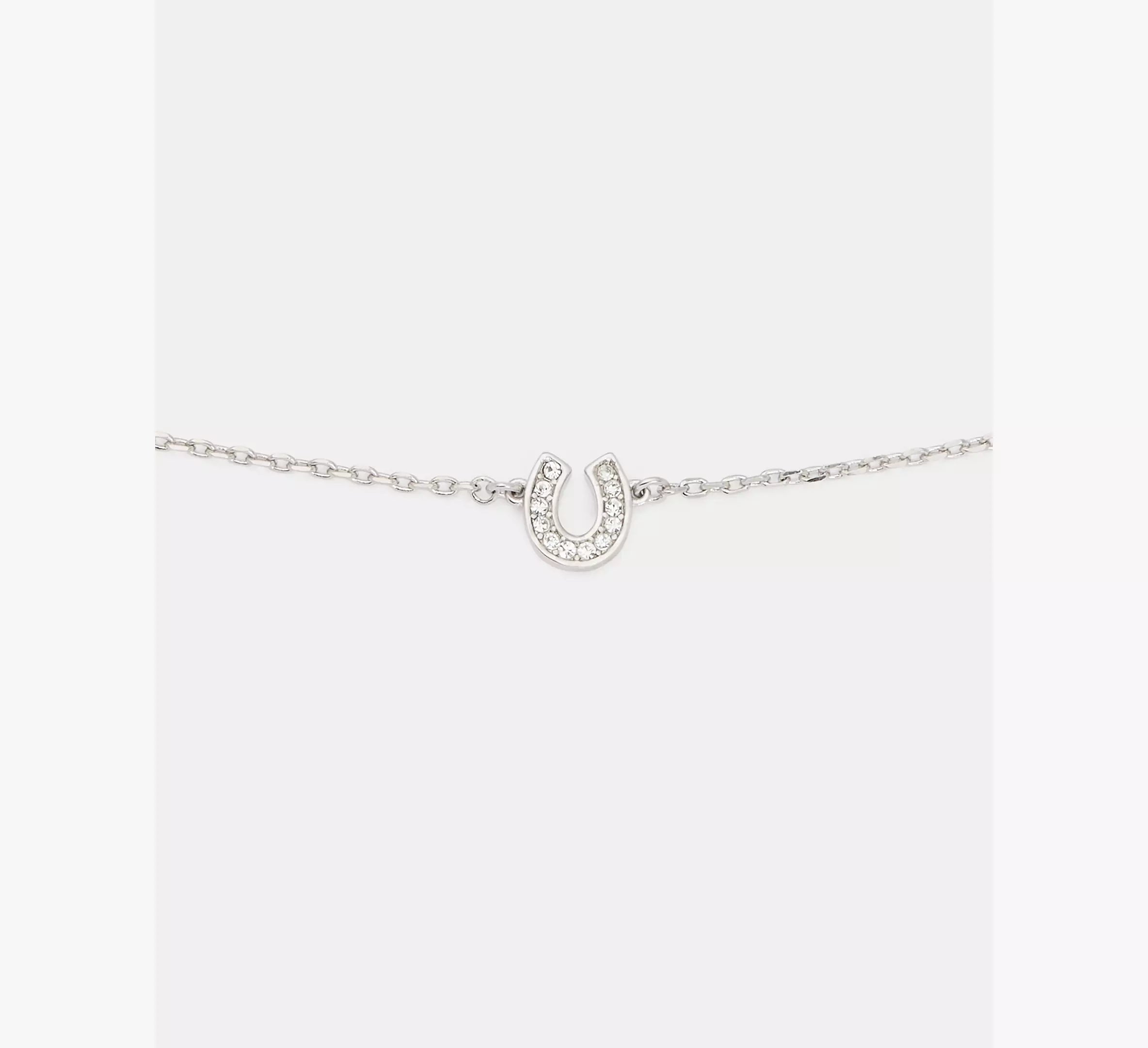 Clear/Silver