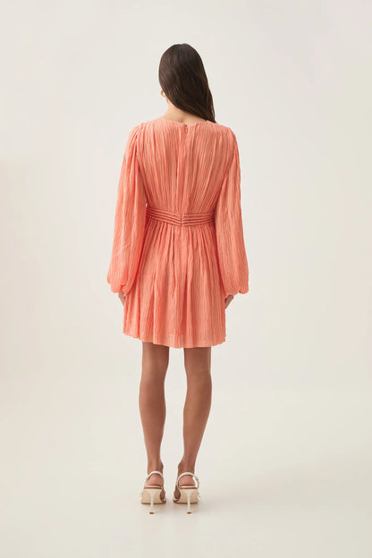 APRICOT