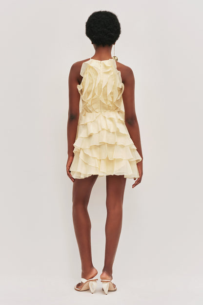 BUTTER YELLOW