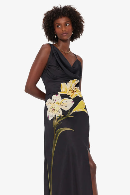 Ebony