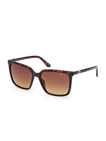 Dark Havana/Gradient Brn