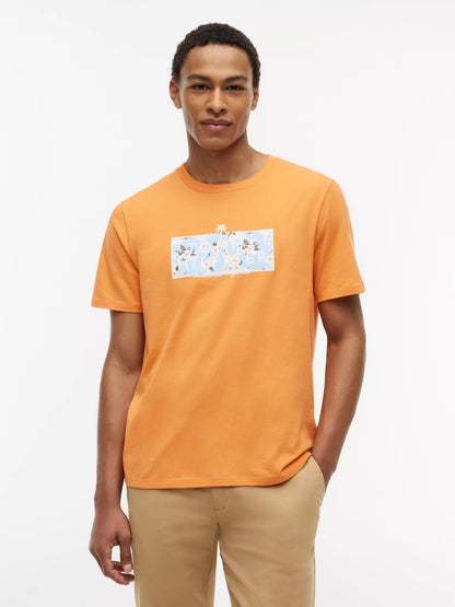 Papaya Ray