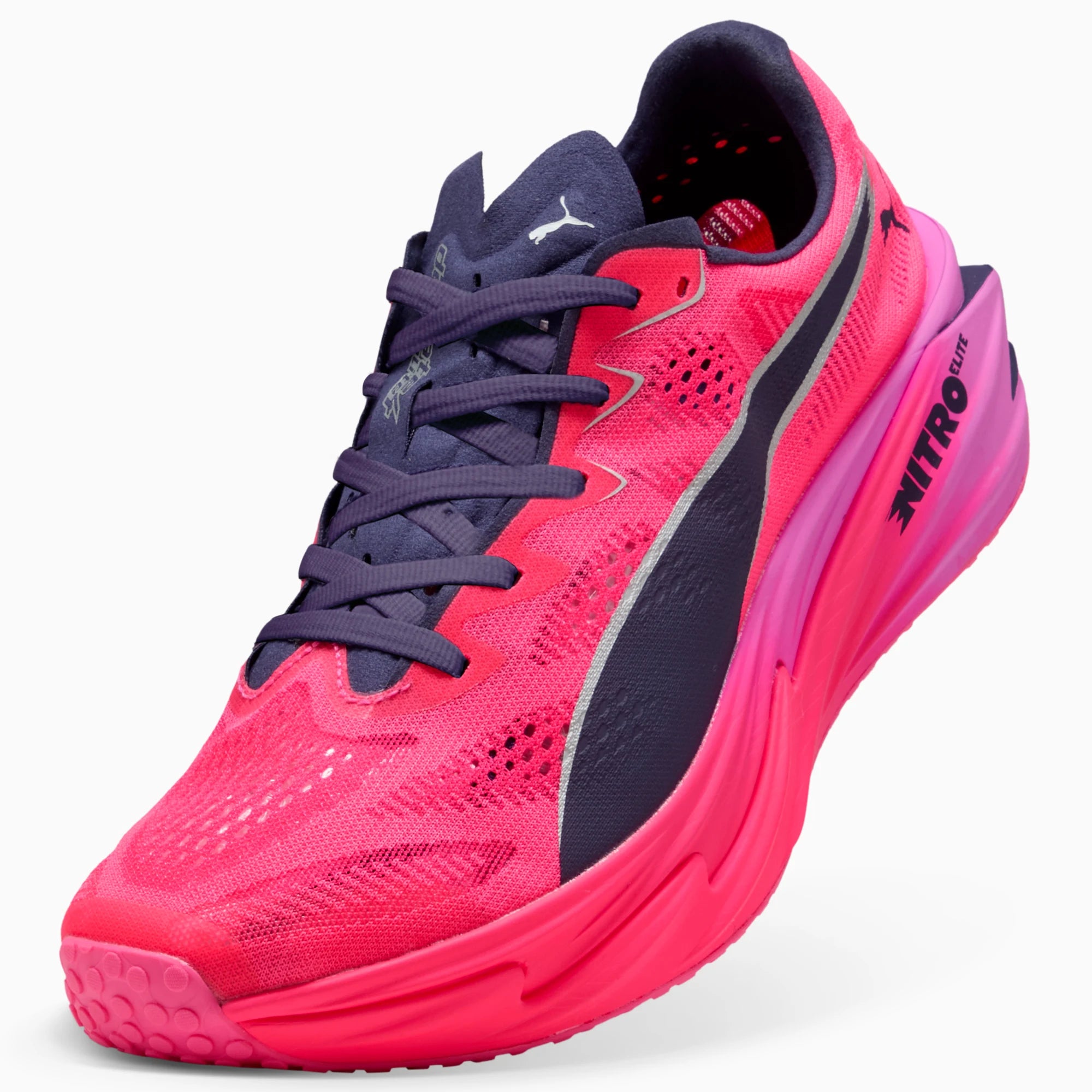 Pure Pink-Electric Orchid-Deep Plum