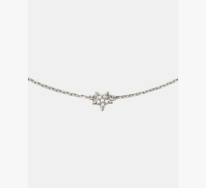 Clear/Silver
