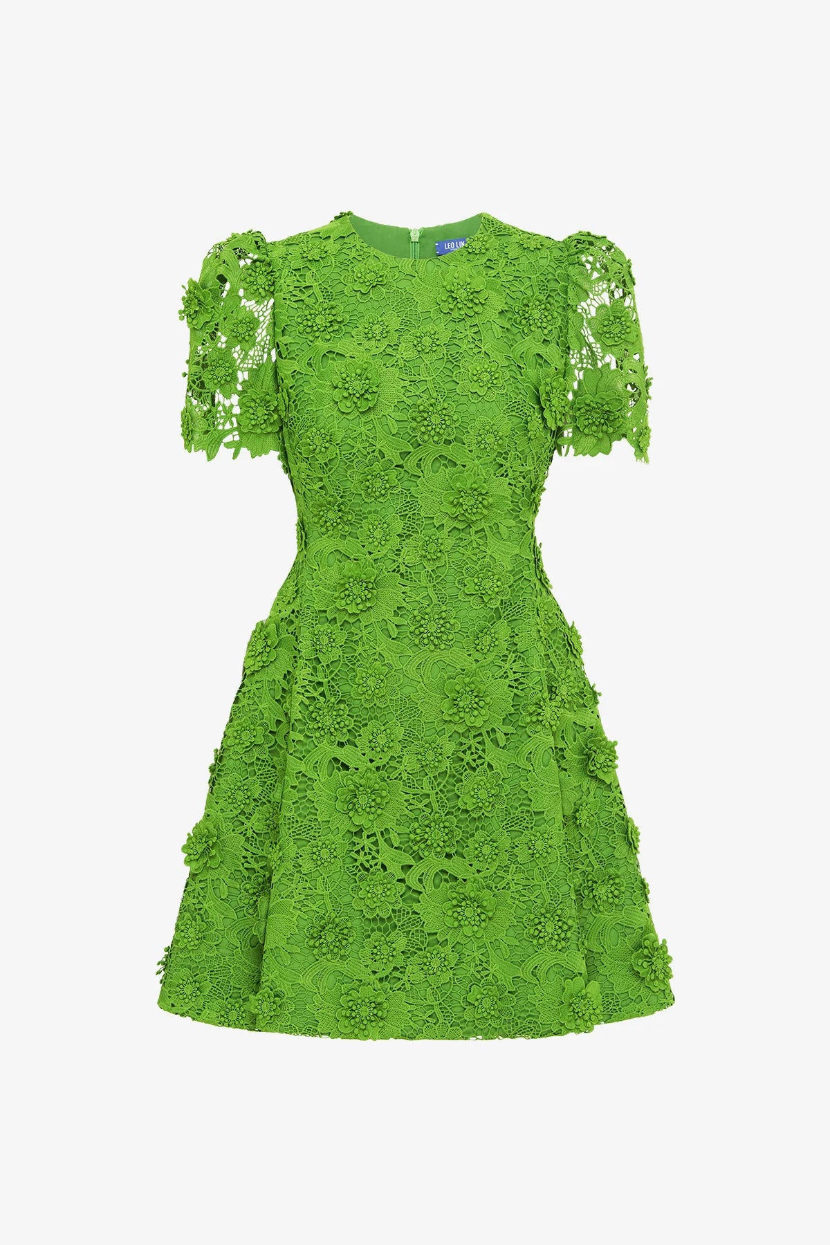 Fern