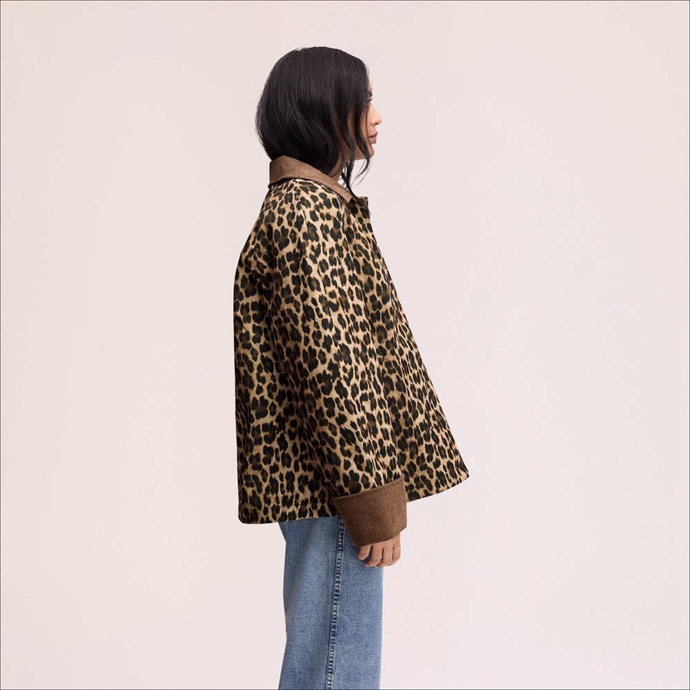 Leopard