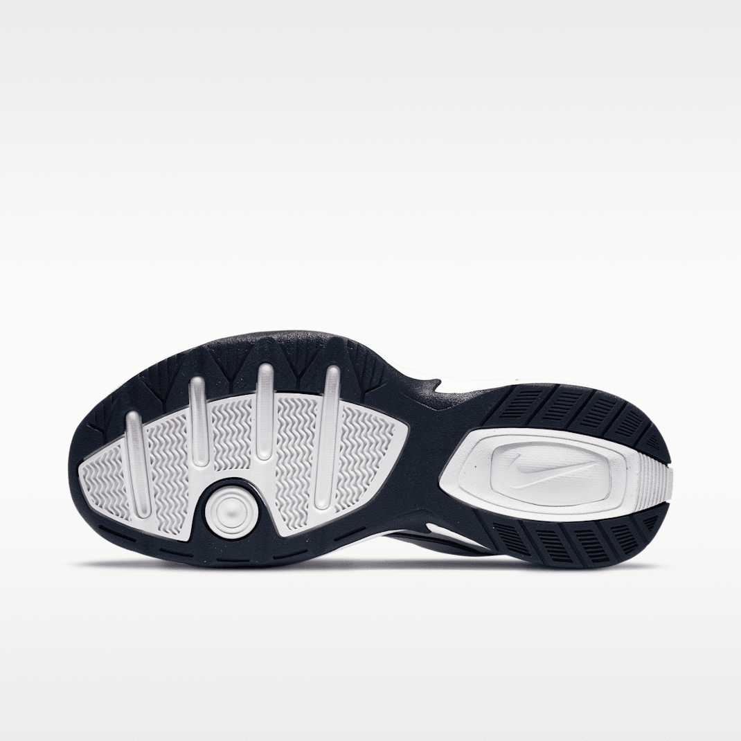 White/Metallic Silver