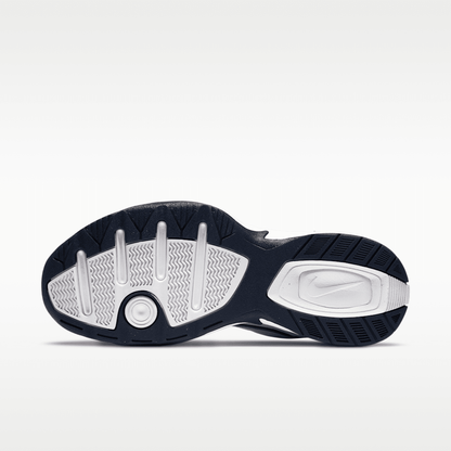White/Metallic Silver