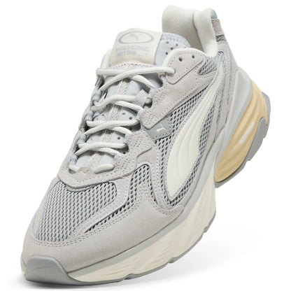 Cool Light Gray-Warm White