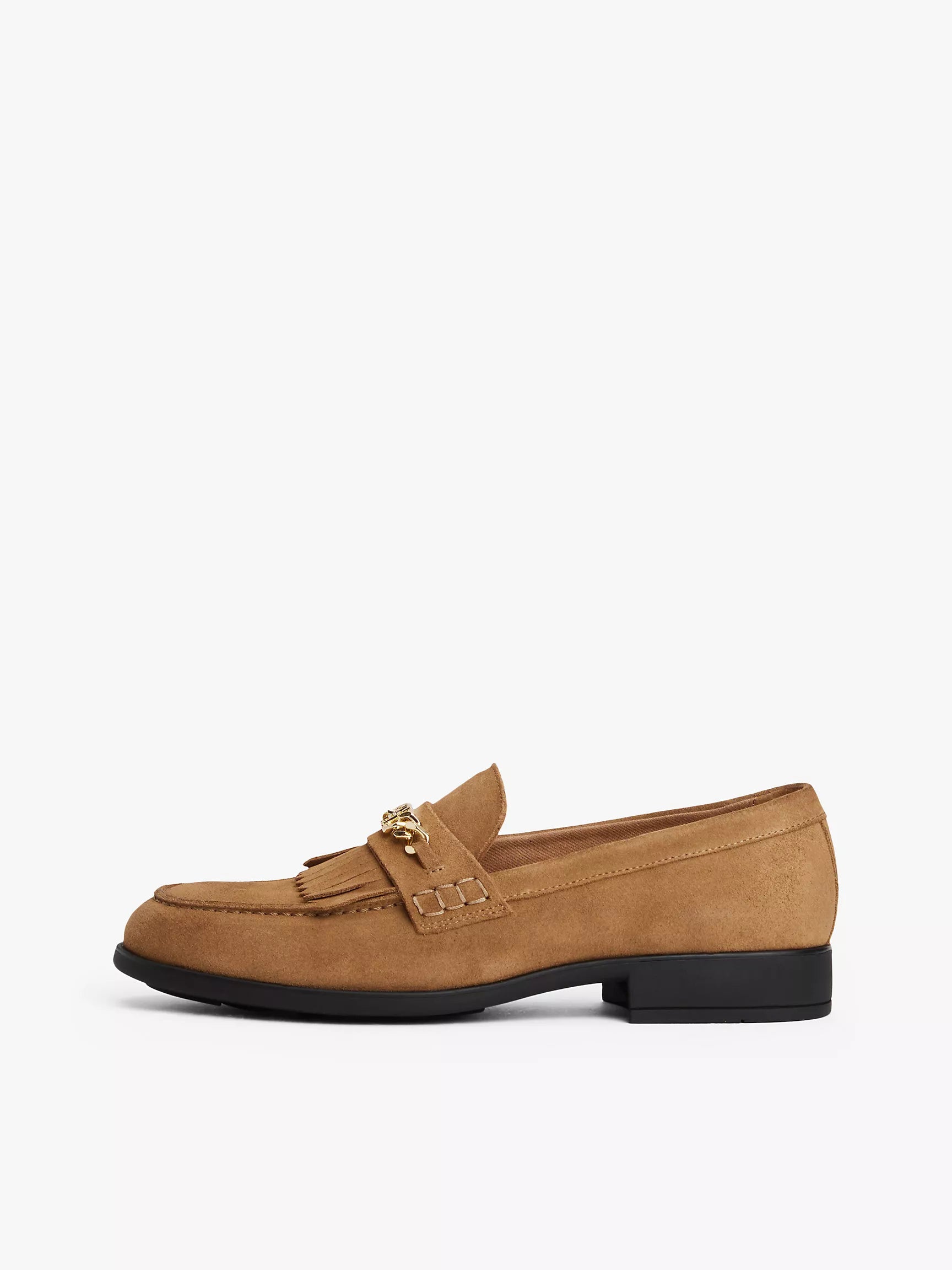 Safari Canvas