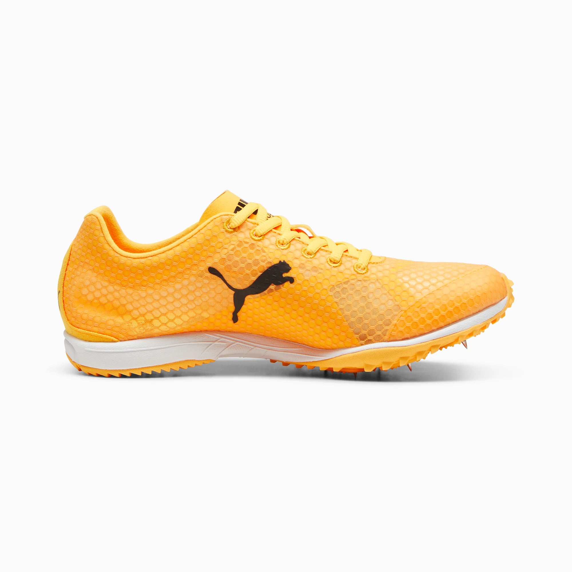 Sun Stream-PUMA Black-PUMA White