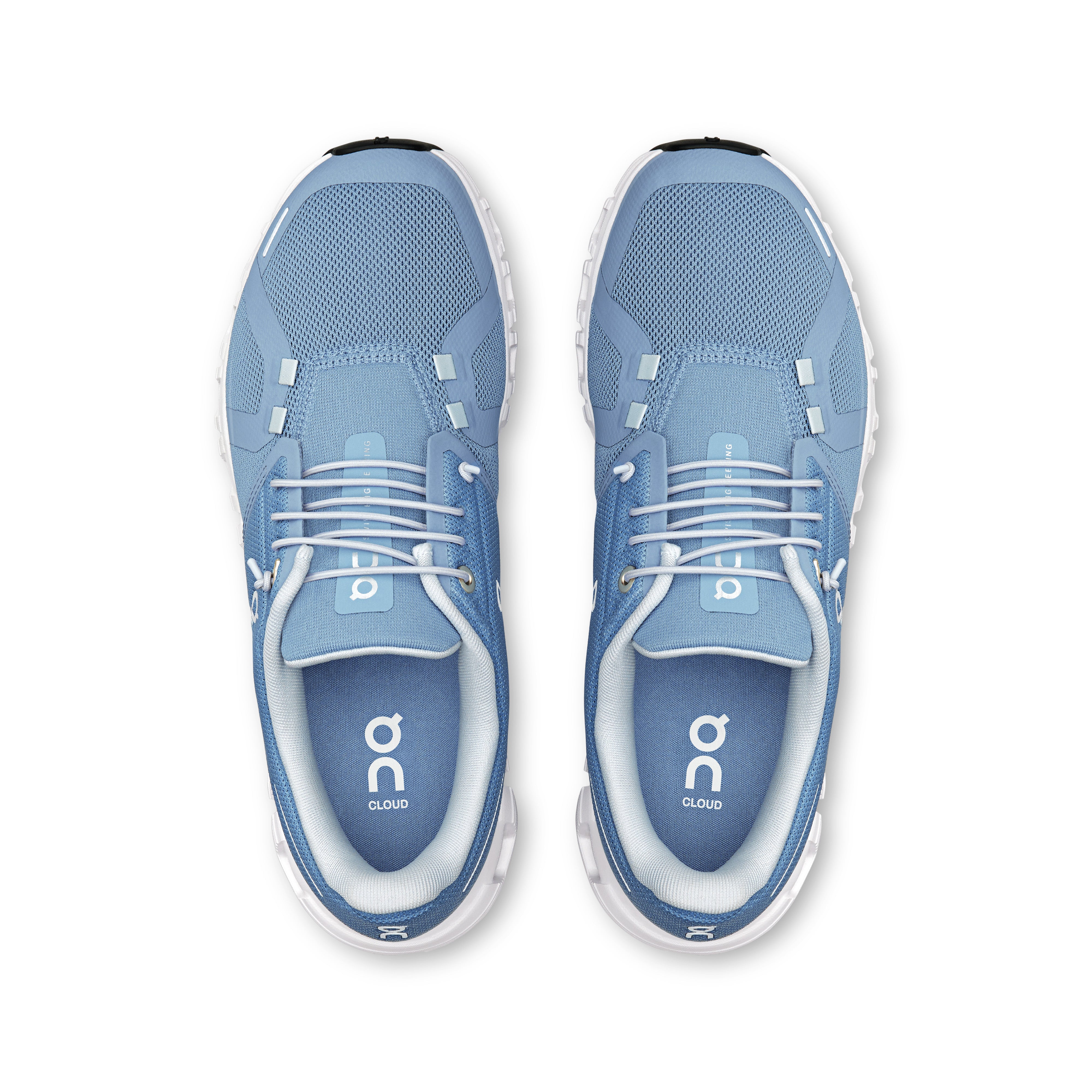 Chambray | White