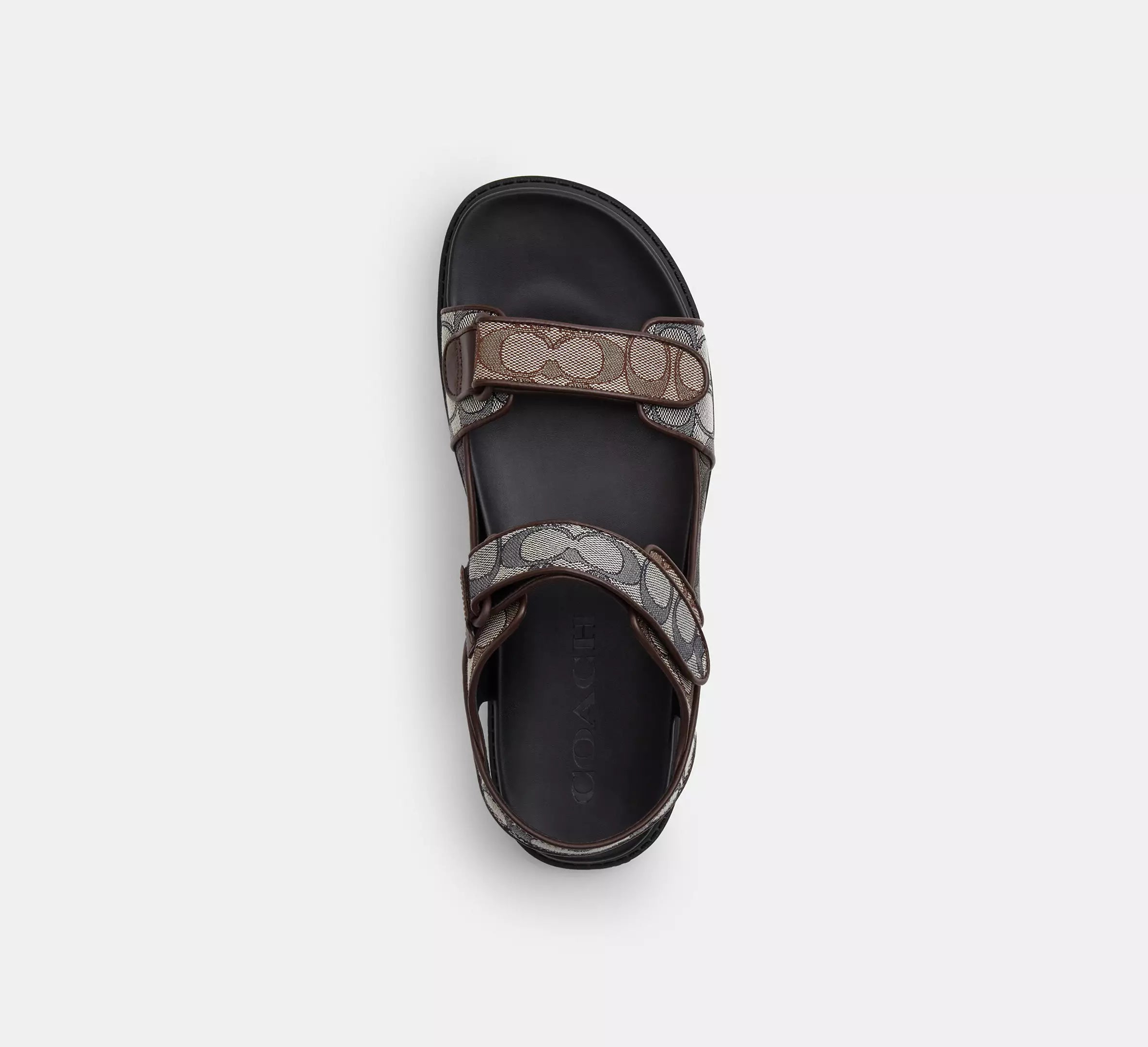 Deep Blue Multi
