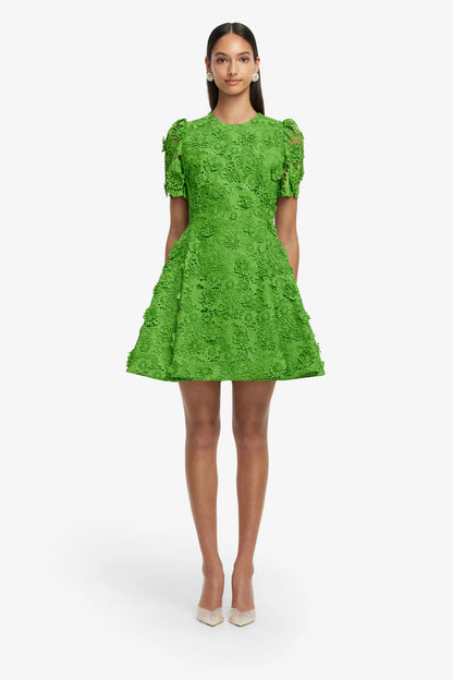 Fern
