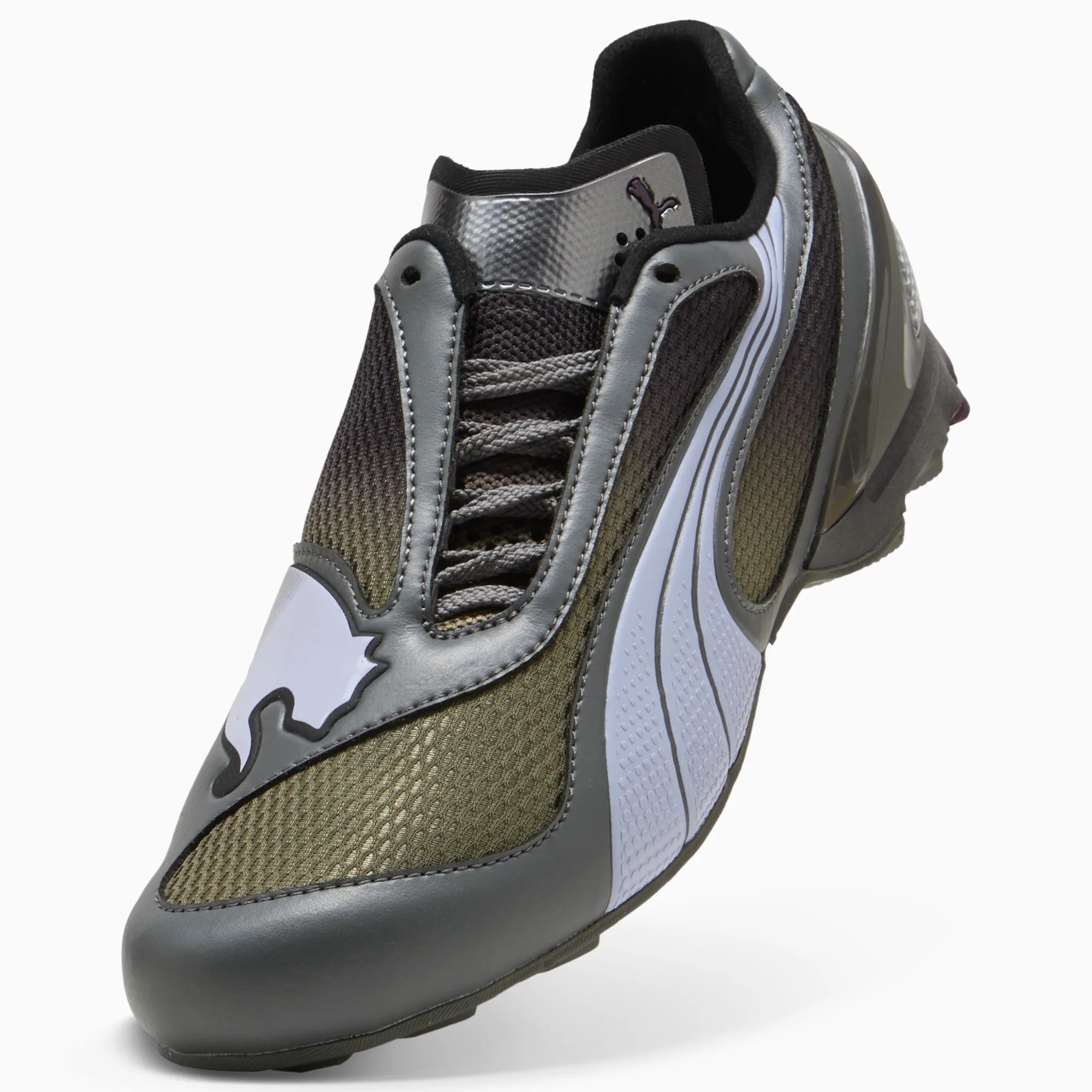 Cool Dark Gray-Loden Green