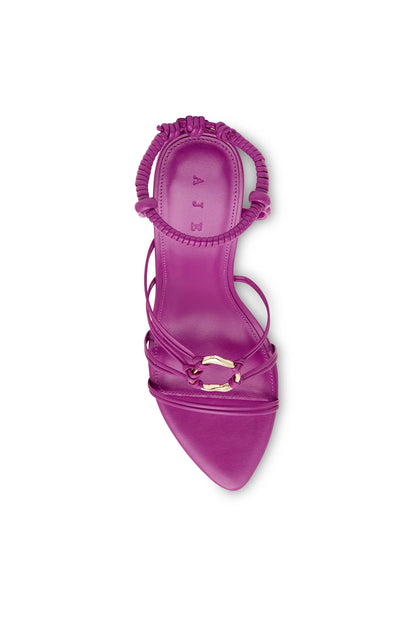PLUM PURPLE