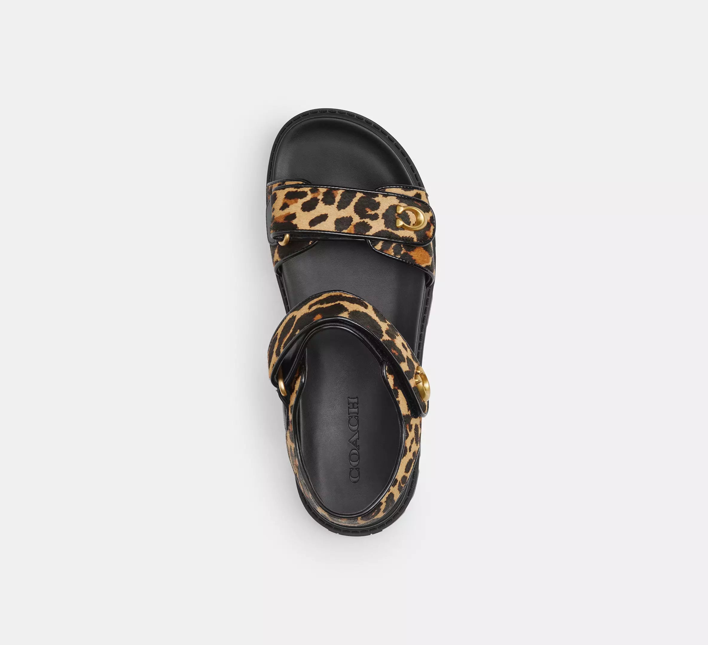 Natural Leopard