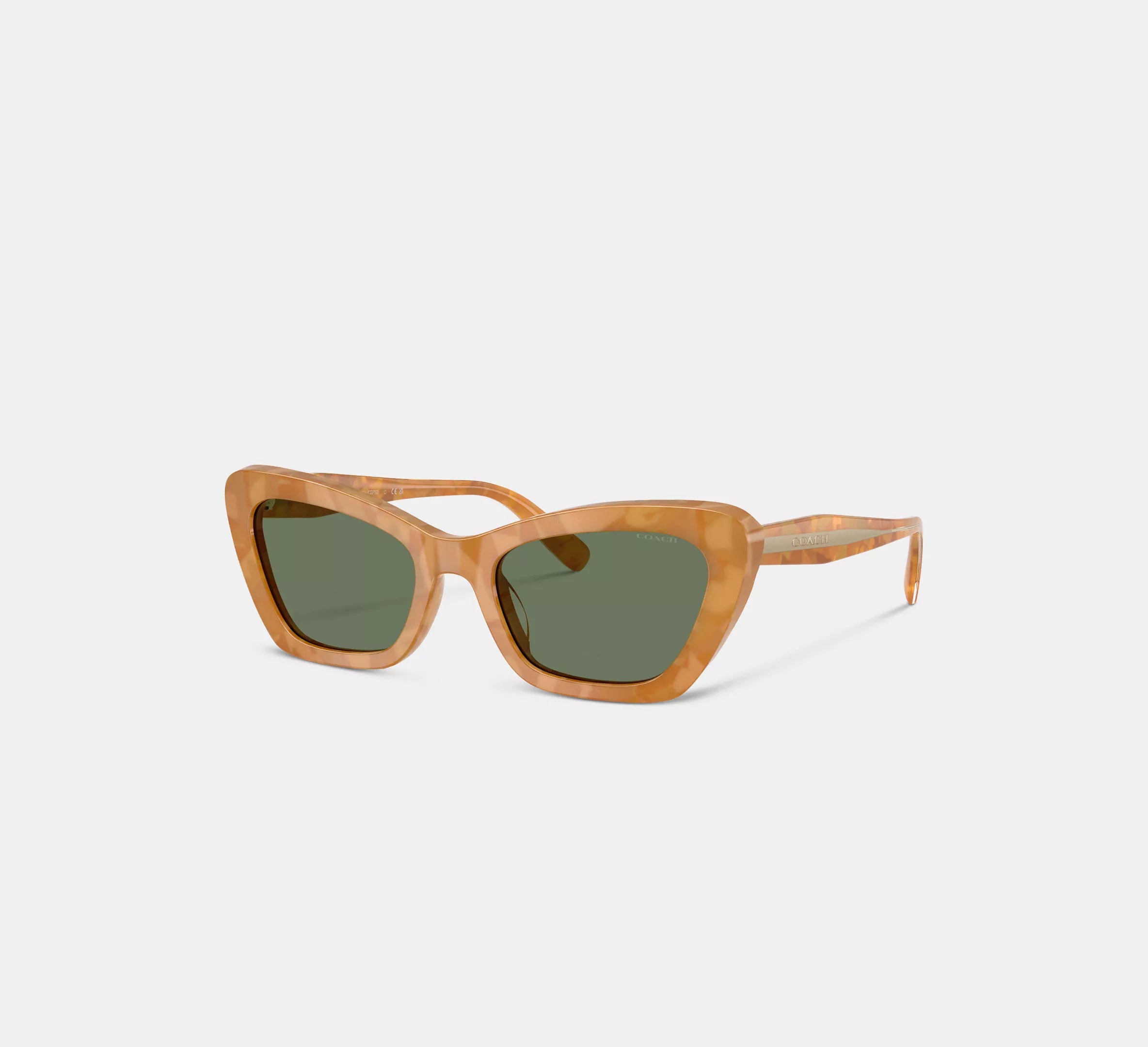 Blonde Tortoise